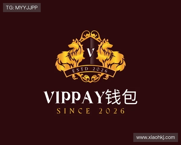 发现VipPay钱包